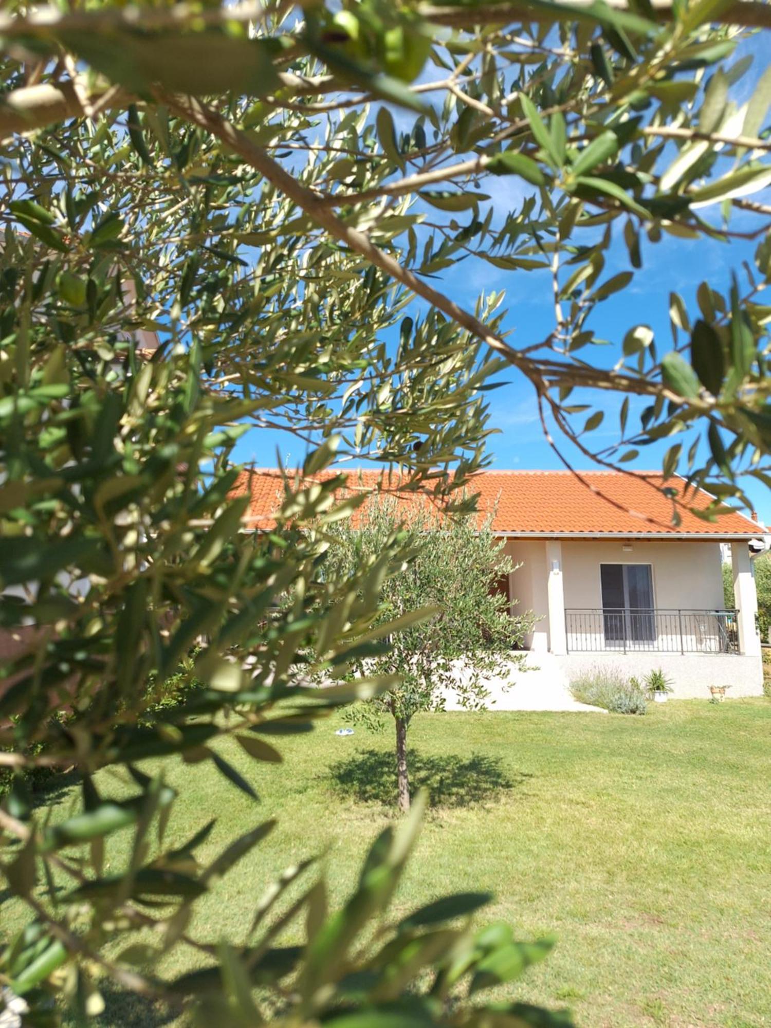 Cvita & Gabi - Kuca Za Odmor Privlaka  Exterior foto